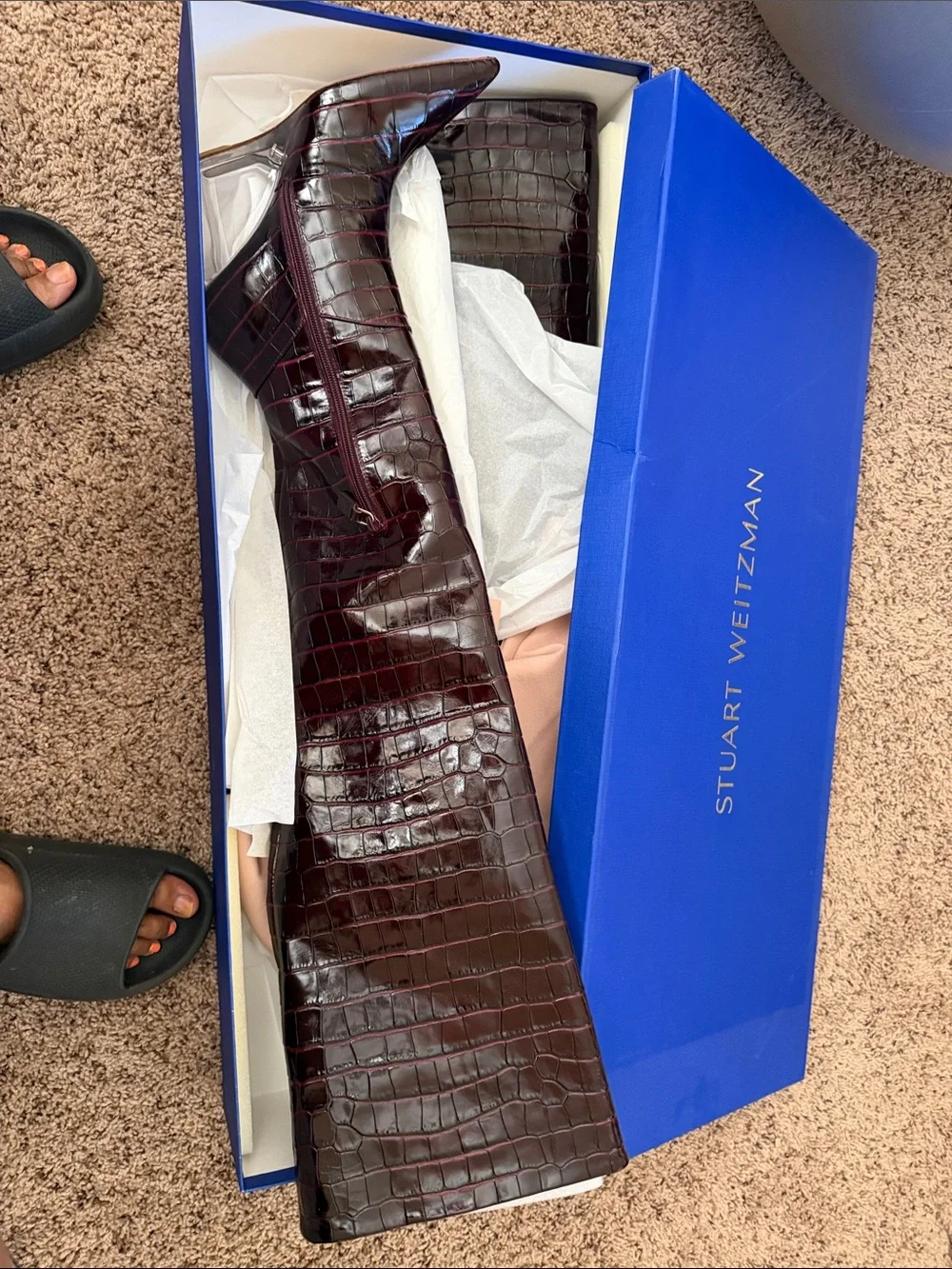 Stuart Weitzman Royal Blue Shoe Box with Gold Logo